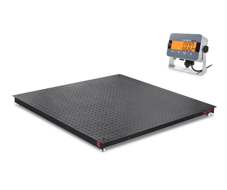 NTEP scales